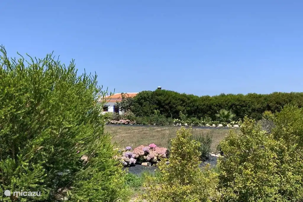 Quiet area, but close to beach and amenities.