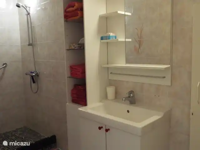 Maison Violette | France, Vendée, Château-Guibert - maison de vacances La salle de bain n'est pas très grande mais complète.