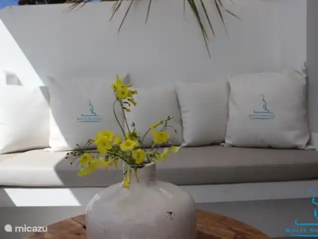 Location de Vacances Espagne, Ibiza, Cala Tarida, appartement - Bouddha blanc Corail Mars