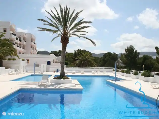 Location de Vacances Espagne, Ibiza, Cala Tarida, appartement - Bouddha blanc Location de Vacances Espagne, Ibiza, Cala Tarida, appartement - Bouddha blanc