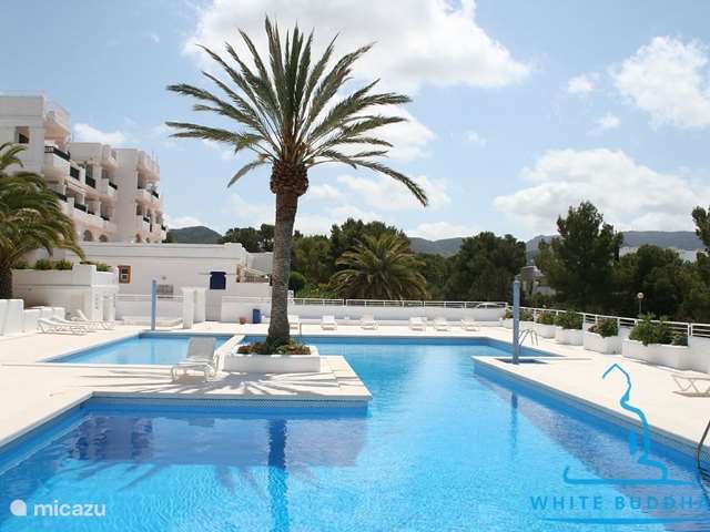 Vakantiehuis Spanje, Ibiza, San Augustin - appartement White Buddha