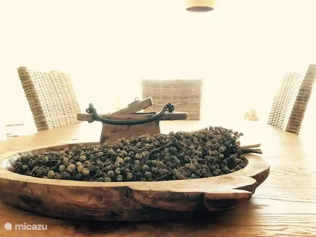 Villa Robis Moraira huren in Spanje, Costa Blanca, Moraira - villa Eetkamer / Decoratie