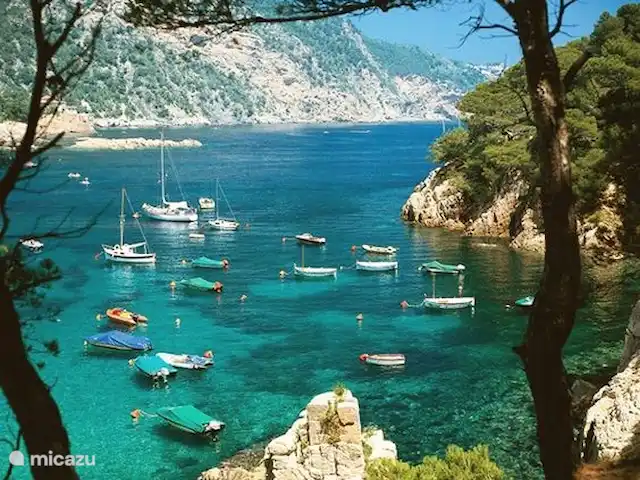 Villa Robis Moraira huren in Spanje, Costa Blanca, Moraira - villa De omgeving