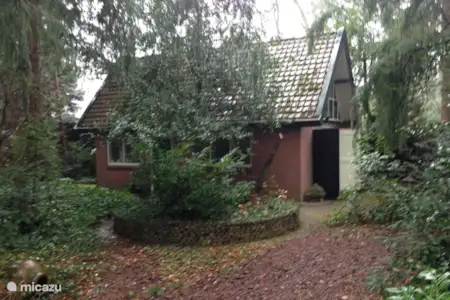 Vakantiehuis Nederland, Gelderland, Nunspeet gîte / cottage Het gastenhuis Vakantiehuis Nederland, Gelderland, Nunspeet gîte / cottage Het gastenhuis