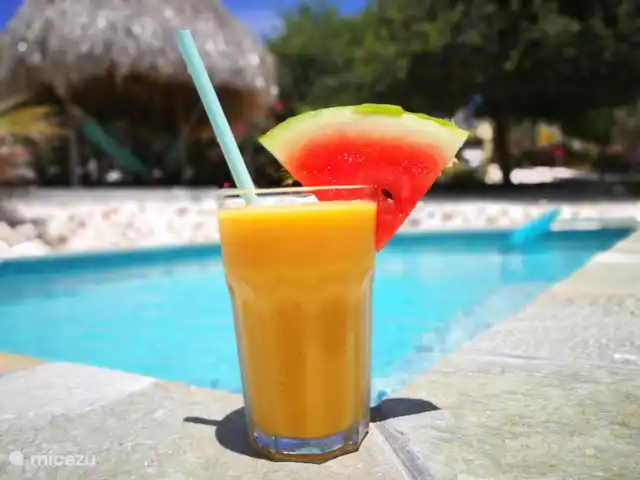 Villa Tortuga Curacao | Curaçao, Banda Abou (ouest), Fontein - villa Piscine
