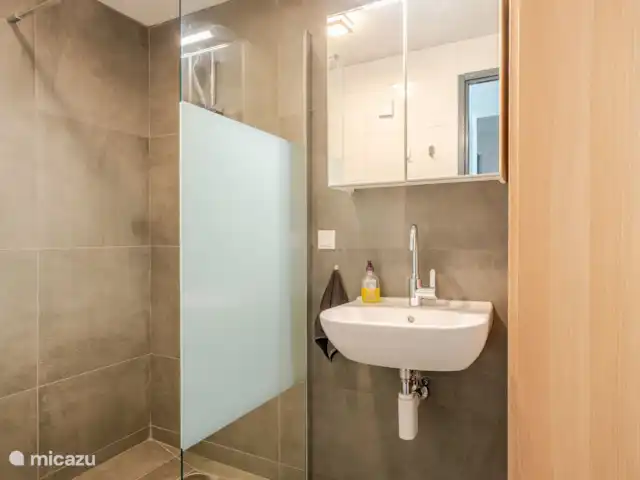 Chalet Rouge ou Blanc - Alpe d'Huez | France, Isère, Villard-Reculas - chalet Salle de bain 2