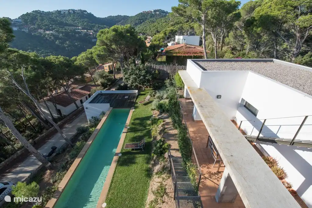 Blick auf den Garten vom Dach