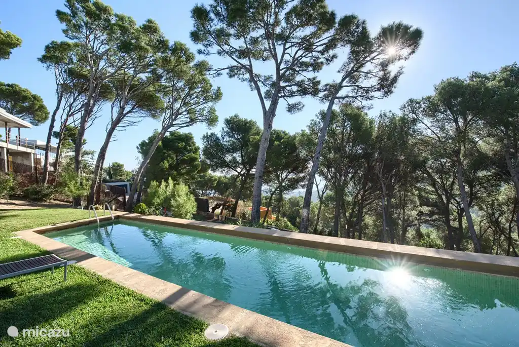 Der Pool ist ein extra langer Pool, gefliest mit schönen grünen Kacheln geben es schön im grünen Bereich paßt.