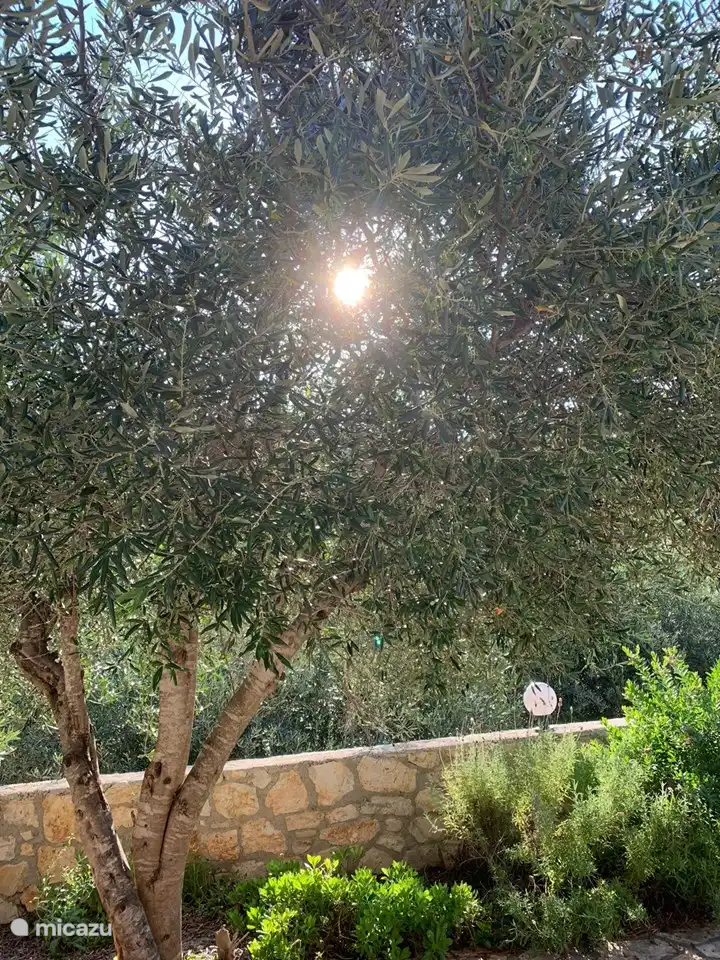 Jardin de la Villa Spirena