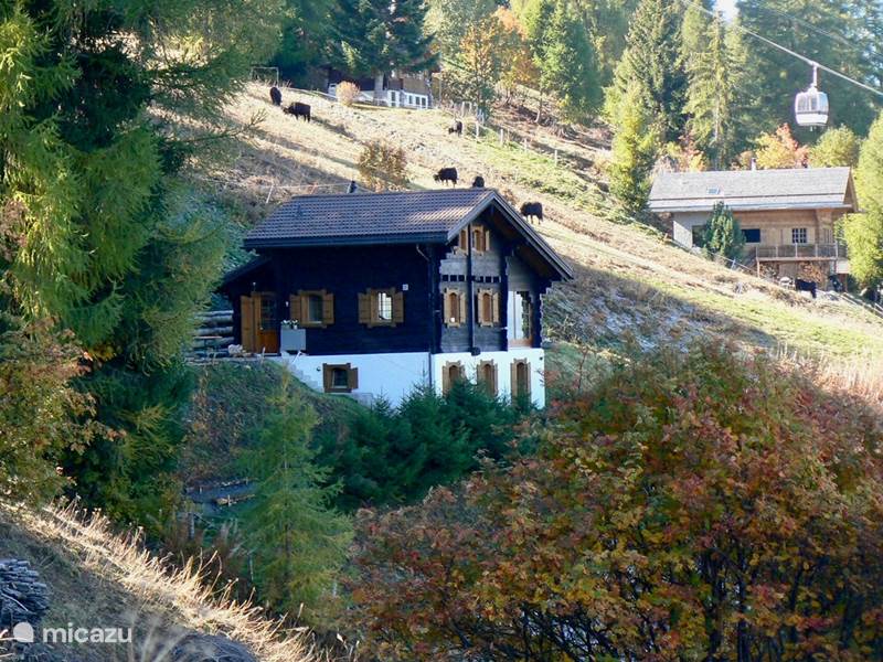 Holiday home in Switzerland, Wallis, Haute Nendaz Chalet Chalet Perles des Alpes