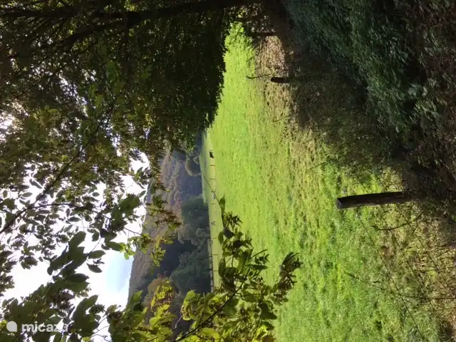 Ruhe und Natur, Padberg