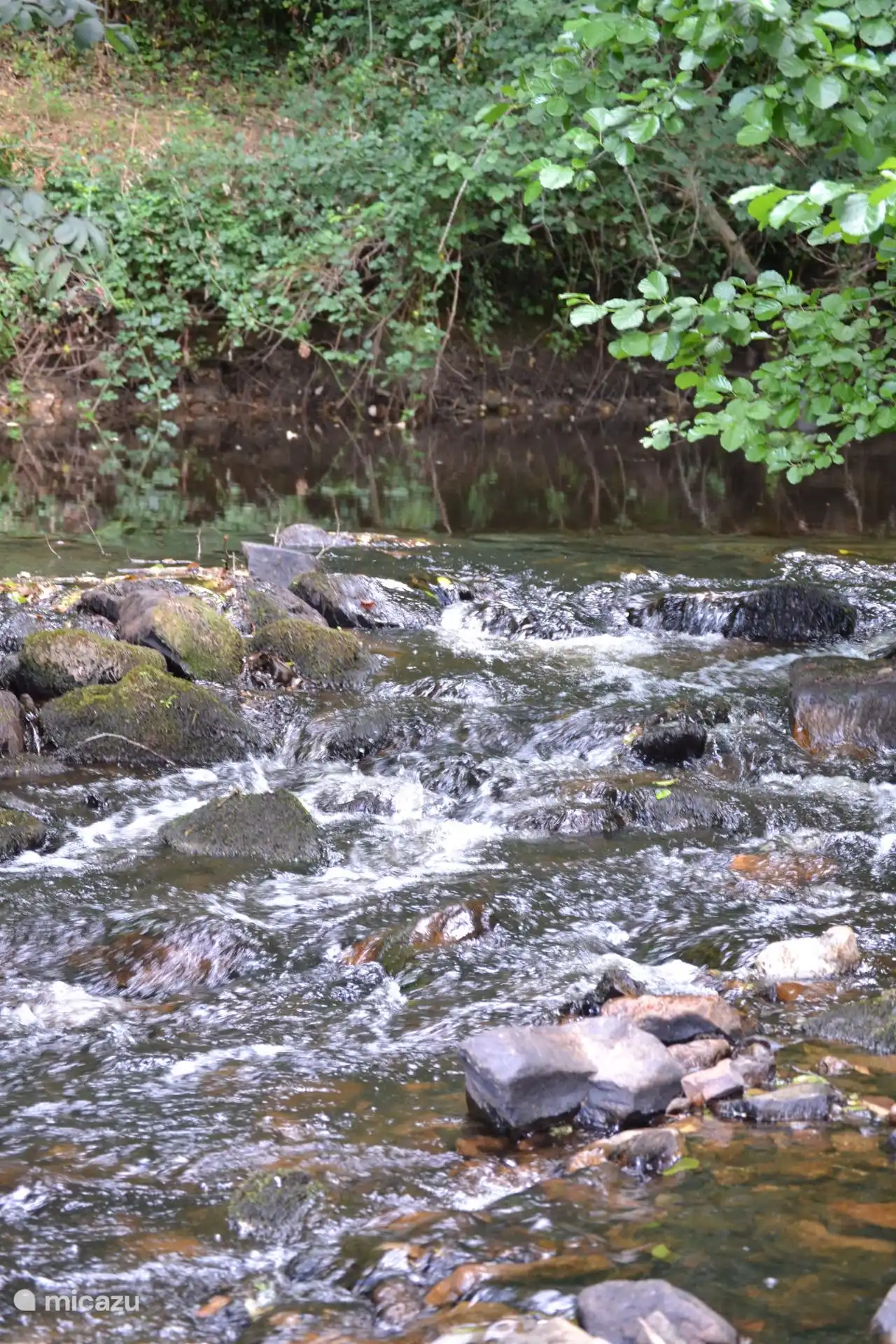 Du jardin, vous atteignez la rivière gazouillante. Un paradis en été : les enfants jouent dans l’eau, pendant que vous profitez du calme et de la nature.