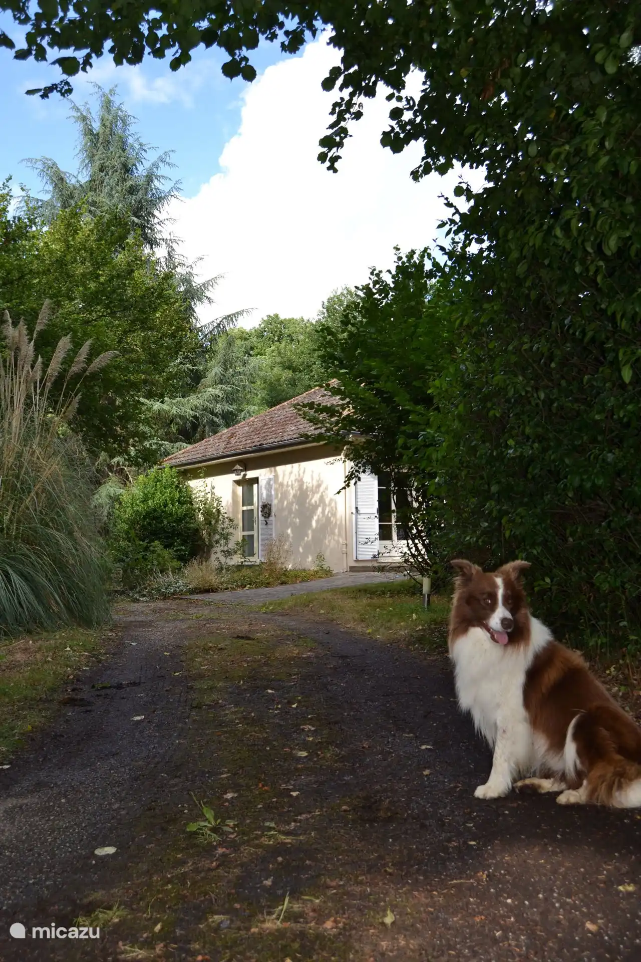 Détendez-vous sur la terrasse ensoleillée donnant sur le jardin verdoyant et le doux murmure de la rivière en arrière-plan.