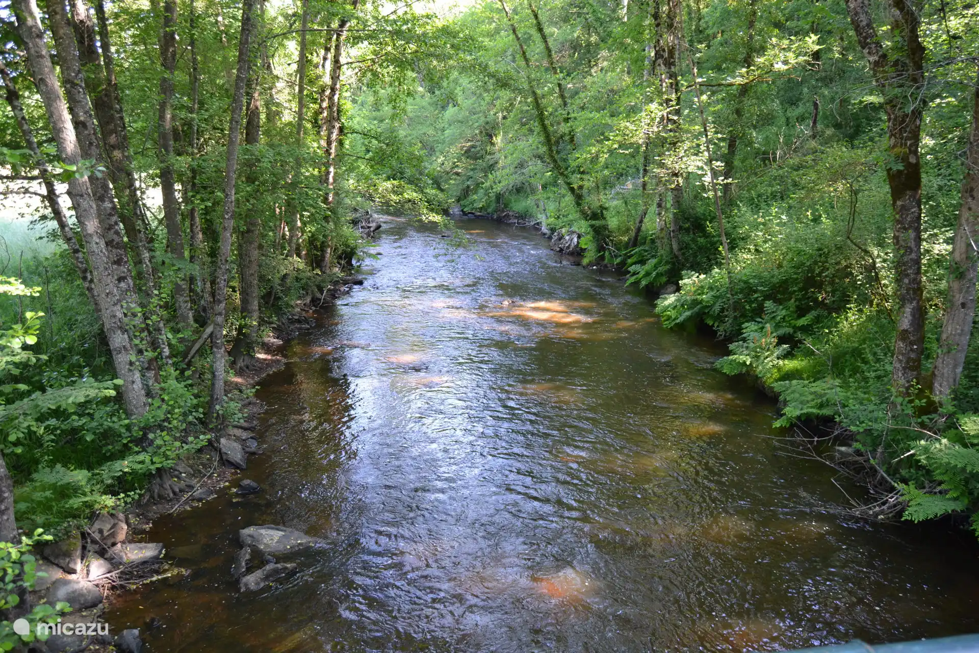 Du jardin, vous atteignez la rivière gazouillante. Un paradis en été : les enfants jouent dans l’eau, pendant que vous profitez du calme et de la nature.