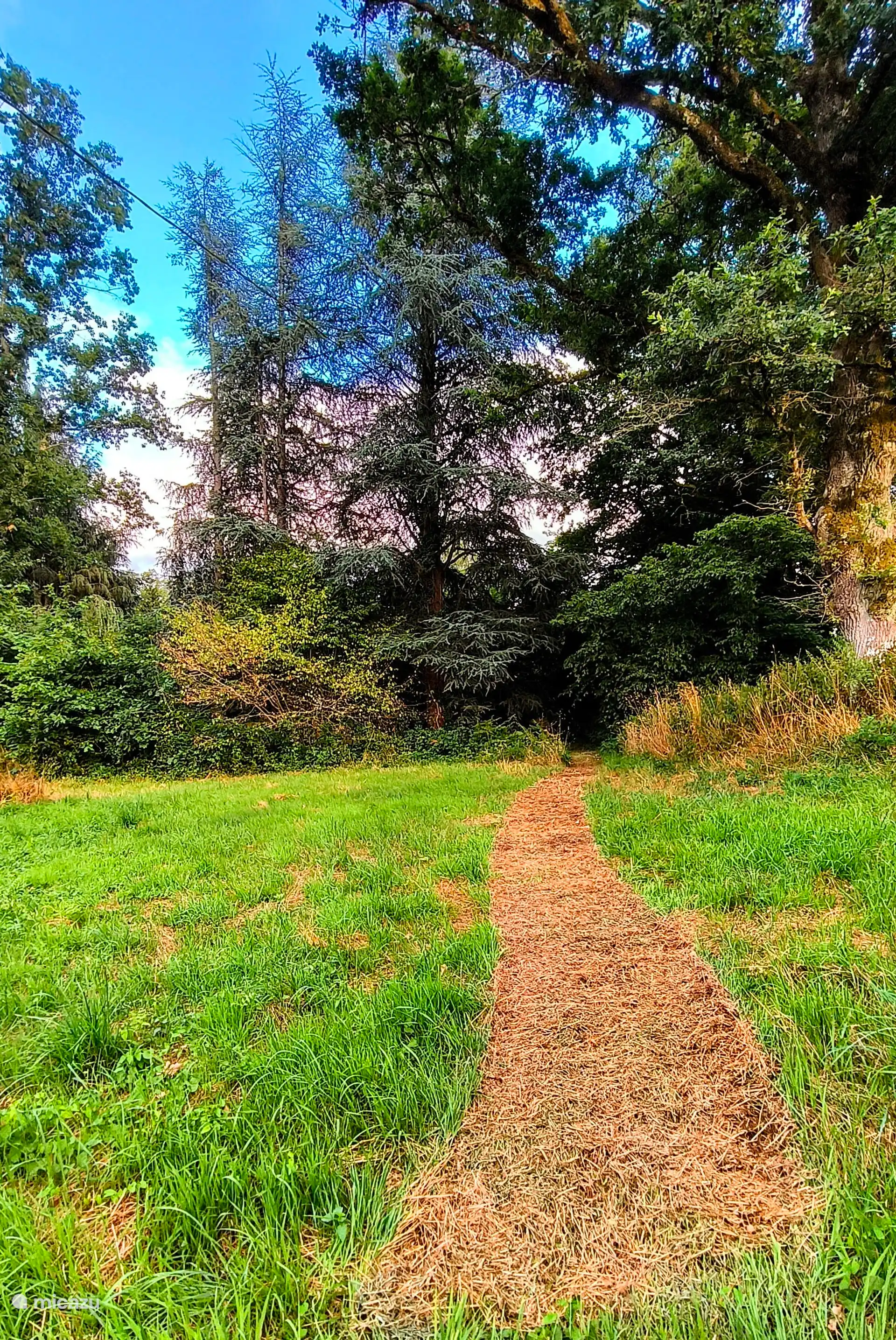 Du jardin, vous atteignez la rivière gazouillante. Un paradis en été : les enfants jouent dans l’eau, pendant que vous profitez du calme et de la nature.