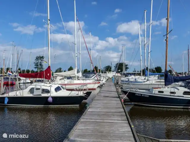 L'huîtrier pie | Pays-Bas, Frise, Anjum - maison de vacances Port