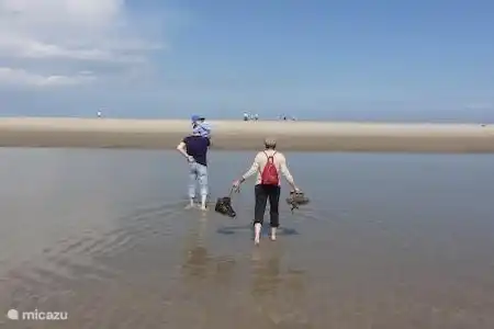 Vakantiehuis Nederland, Friesland, Anjum vakantiehuis De Scholekster Omgeving