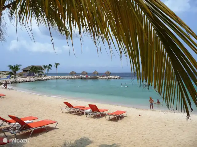 Blue Bay Beach Villa @ Piscine | Curaçao, Curaçao-Centre, Blue Bay - villa Grande plage de Blue Bay. Belle plage dans une baie tranquille avec utilisation gratuite de parasols et de chaises longues pour nos clients.