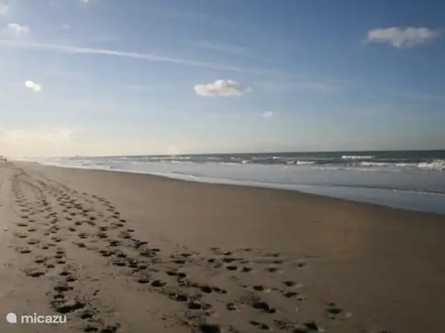 Duinendaele 213 huren in België, Belgische Kust, De Panne - vakantiehuis Strand  De Panne