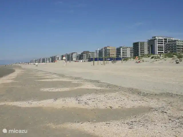 Duinendaele 213 huren in België, Belgische Kust, De Panne - vakantiehuis Skyline De Panne