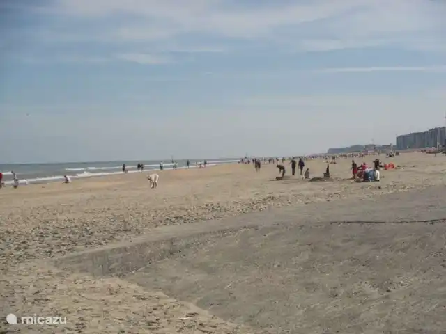 Duinendaele 213 huren in België, Belgische Kust, De Panne - vakantiehuis Strand
