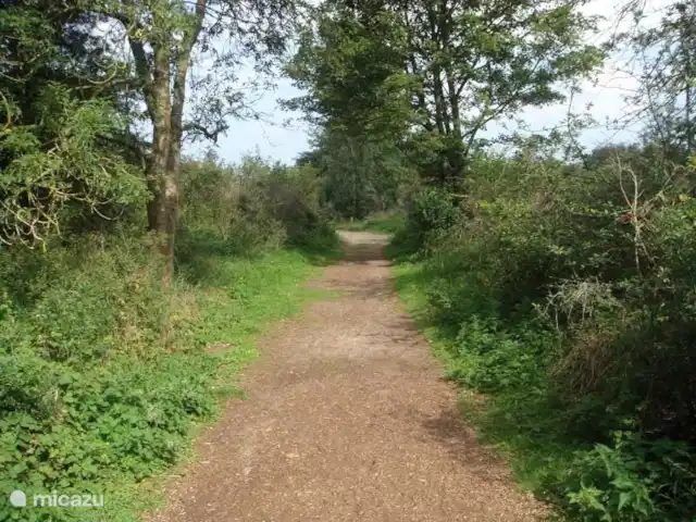 Duinendaele 213 huren in België, Belgische Kust, De Panne - vakantiehuis Wandelroute