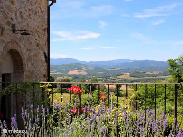 Cottage Noce - Monti 1824 ® huren in Italië, Toscane, Casole d`Elsa - vakantiehuis Huis Noce - Monti 1824