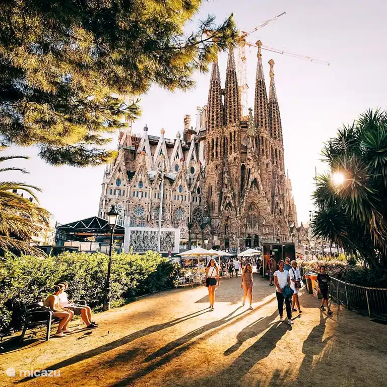 Barcelone est juste au coin de la rue - en bus, vous pouvez rejoindre la Pza Espana en un rien de temps, ou plus loin dans le centre, pour visiter la Sagrada Familia, par exemple