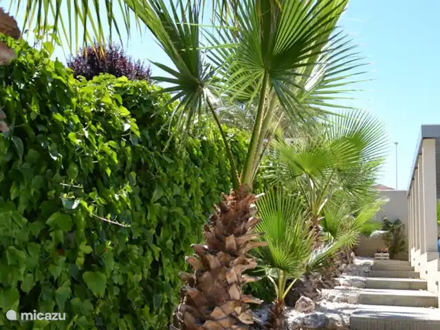 Casa Kole huren in Spanje, Costa Blanca, Hondón de las Nieves - vakantiehuis Entree Casa Kole