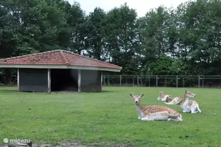 Hangstoel balkon Hangstoel balkon