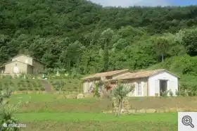 Borgo San Giovanni in Italien, Umbrien, Monte Castello di Vibio - Reihenhaus