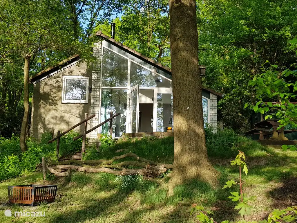 ferienhaus, Well, Limburg, Niederlande - Der Buntspecht