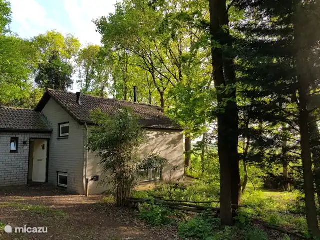 Location de Vacances Pays-Bas, Limbourg, Wellerlooi, maison de vacances - Le pic tacheté allée