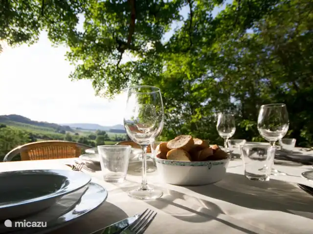 Location de Vacances France, Tarn-et-Garonne, Valeilles, maison de vacances - Tournesol table d'hôtes sous l'arbre 2 fois par semaine
