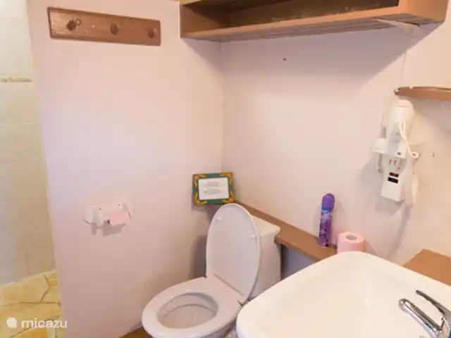 Location de Vacances France, Tarn-et-Garonne, Valeilles, maison de vacances - Tournesol Salle de bain avec lavabo, sèche-cheveux, WC.
La douche est au coin de la rue