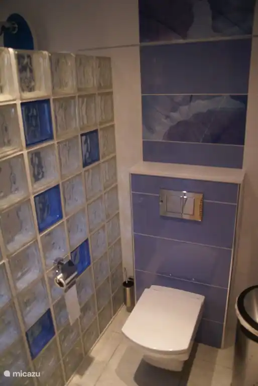 Grande salle de bain avec douche à l'italienne