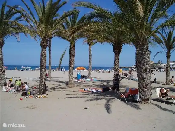 La plage d'El Arenal