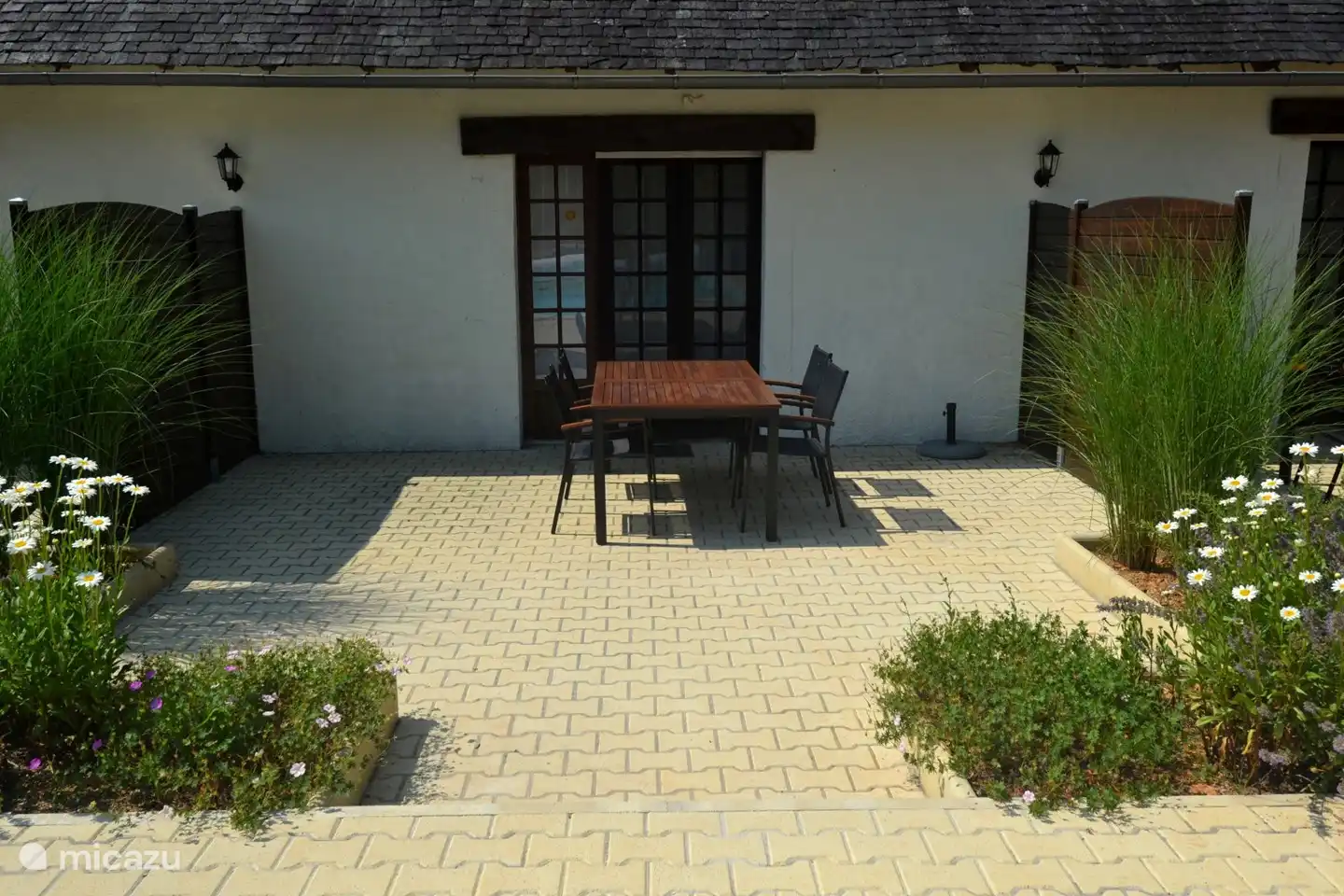 Your terrace among the plants