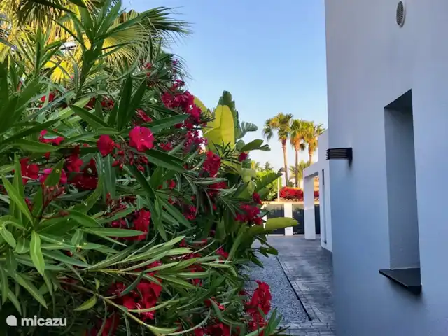 Casa Duende Moraira | Espagne, Costa Blanca, Moraira - villa .