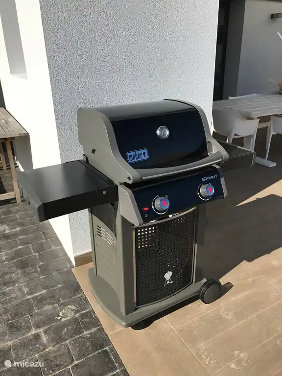 Barbecue à gaz Weber