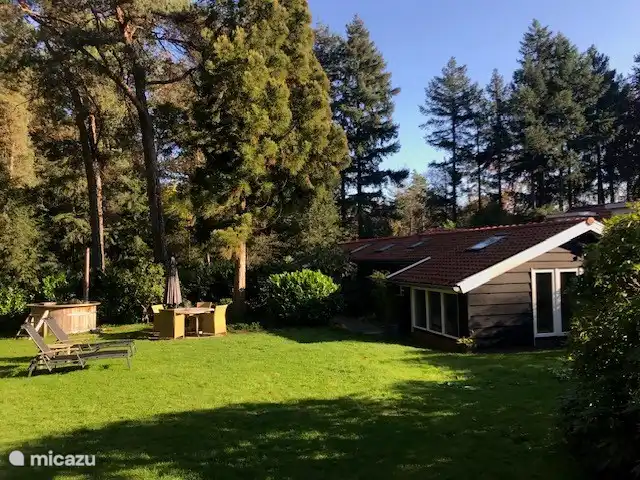vakantiehuis huren in Nederland, Overijssel, Holten –  Boschhuys Holterberg de Lodge