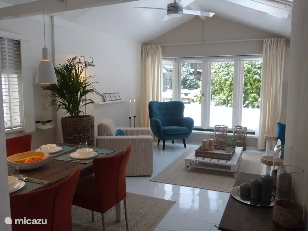 Woonkamer met veel licht.