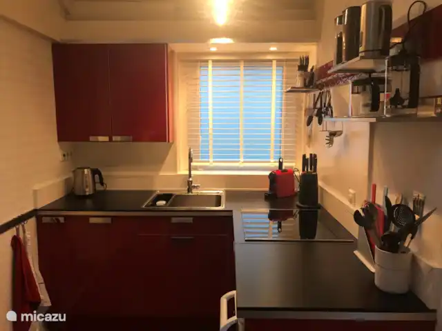 Location de Vacances Pays-Bas, Overijssel, Holten, maison de vacances - Boschhuys Holterberg la Loge cuisine compacte