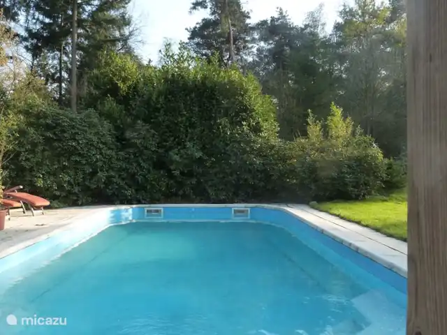 Location de Vacances Pays-Bas, Overijssel, Holten, maison de vacances - Boschhuys Holterberg la Loge piscine privée