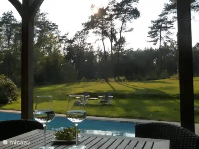 Location de Vacances Pays-Bas, Overijssel, Holten, maison de vacances - Boschhuys Holterberg la Loge coucher de soleil au bord de la piscine