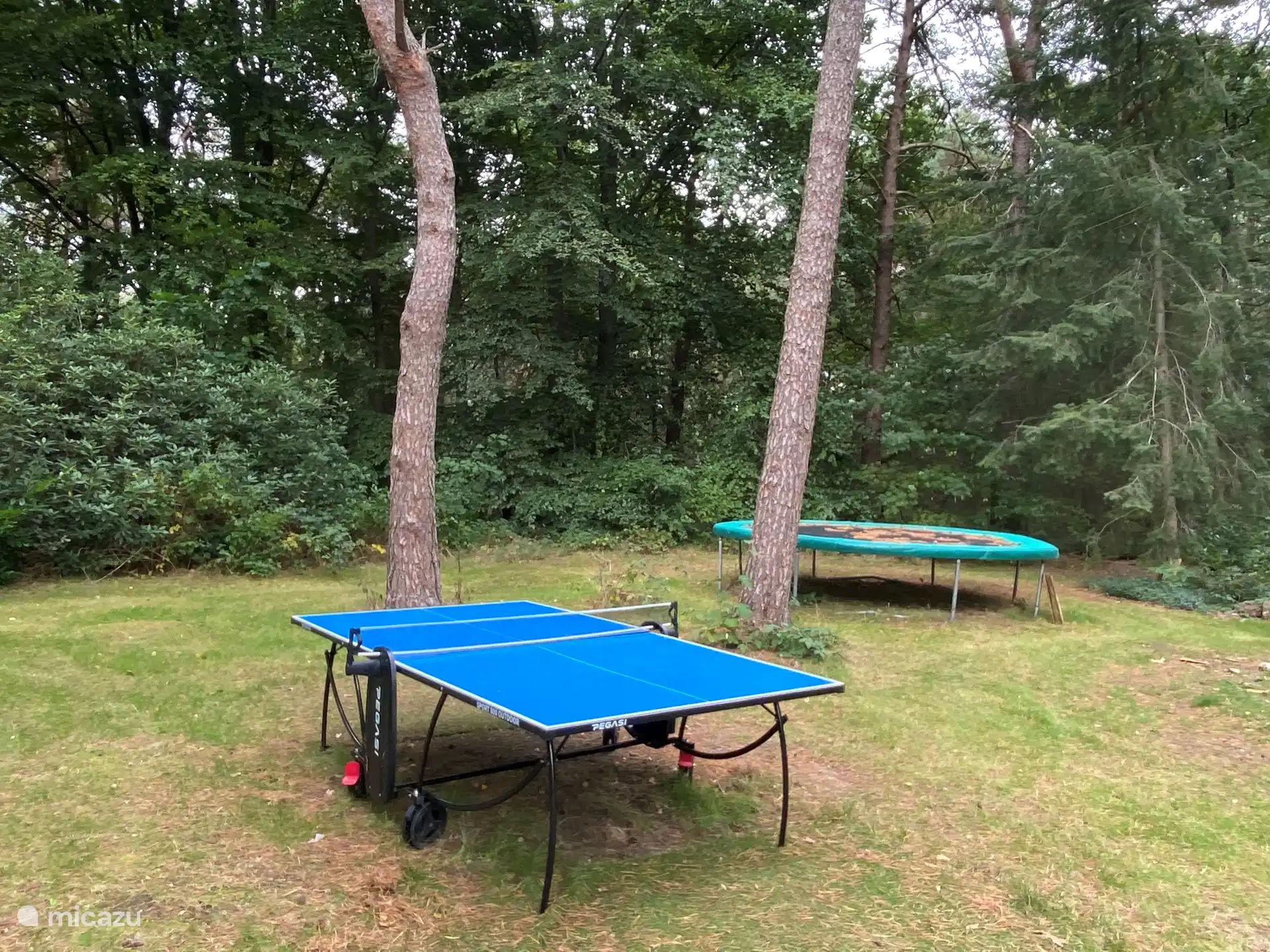 tafeltennis en trampoline in het bos