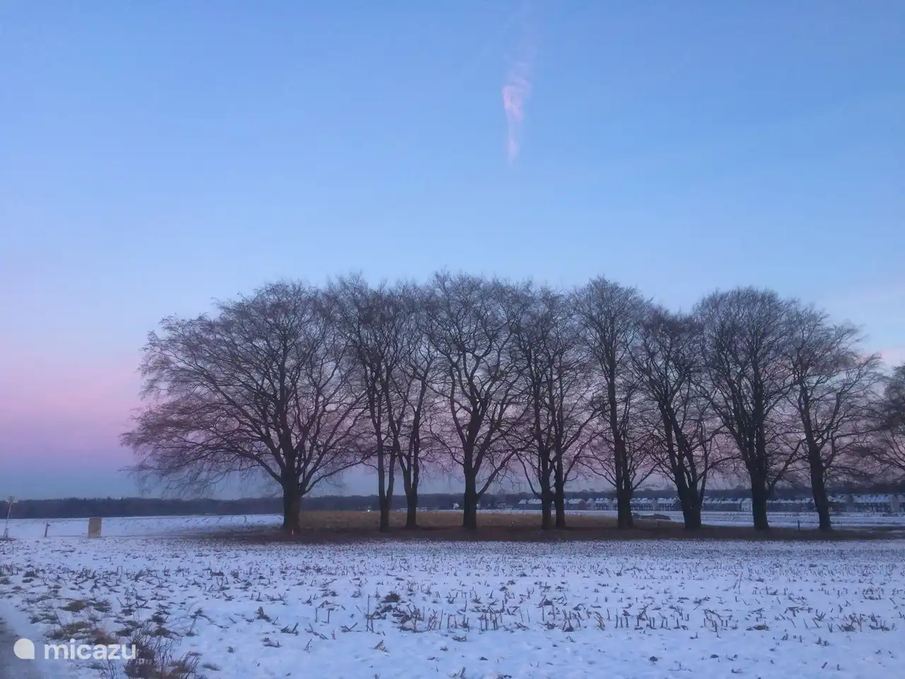 beukenlaan op weg naar de Holterberg