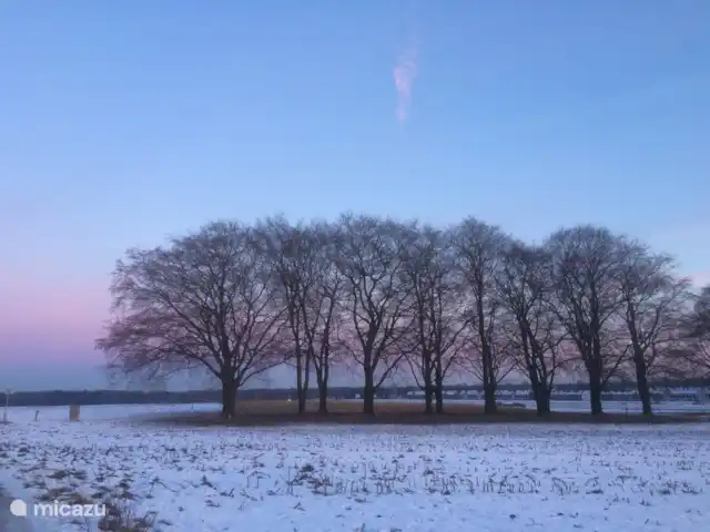 Location de Vacances Pays-Bas, Overijssel, Holten, maison de vacances - Boschhuys Holterberg la Loge Beechnlaan en direction du Holterberg
