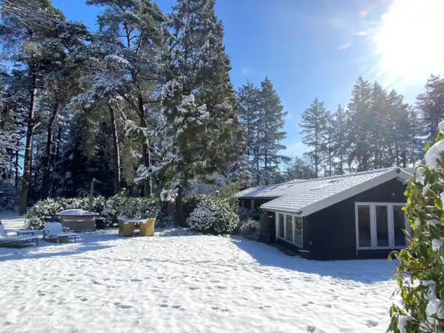 Location de Vacances Pays-Bas, Overijssel, Holten, maison de vacances - Boschhuys Holterberg la Loge le Lodge dans la neige..