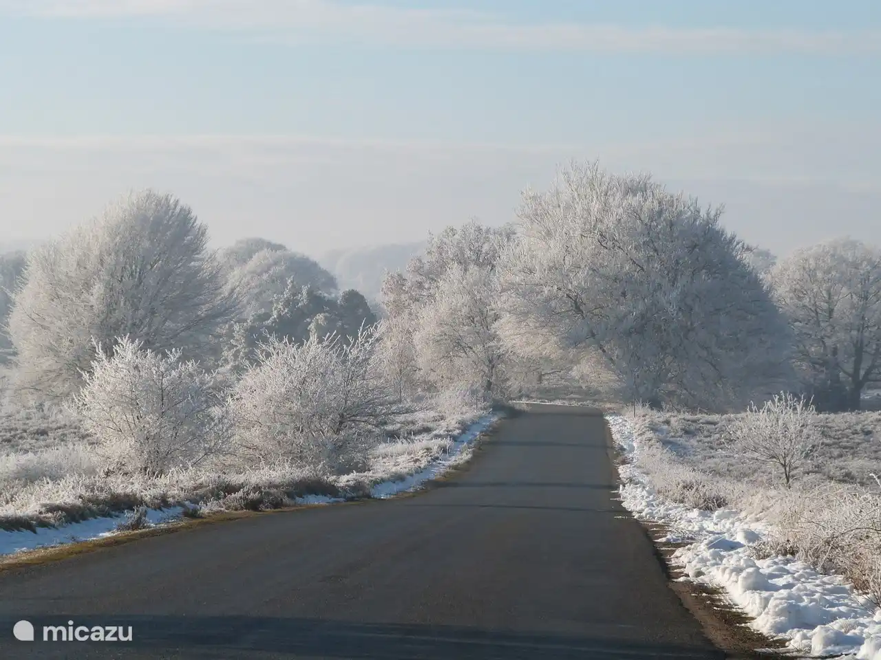 natuurgebied de Sallandse Heuvelrug in de achtertuin